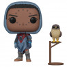 Figurine Pop Hawthorne with Louis (Destiny) #337