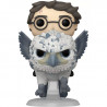 Figurine Pop Rides Harry Potter et Buckbeak