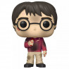 Figurine Pop Harry Potter à la pierre philosophale #132