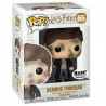 Figurine Pop Seamus Finnigan (Harry Potter) #65