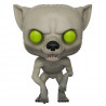 Figurine Pop Remus Lupin Loup-garou (Harry Potter) #49