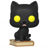 Figurine Pop Thackery Binx (Hocus Pocus) - Edition Limitée