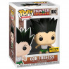 Figurine Pop Gon Freecss Rage (Hunter x Hunter) #802